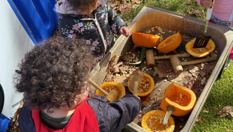 Research findings board